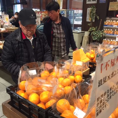 試食もできる柑橘コーナー