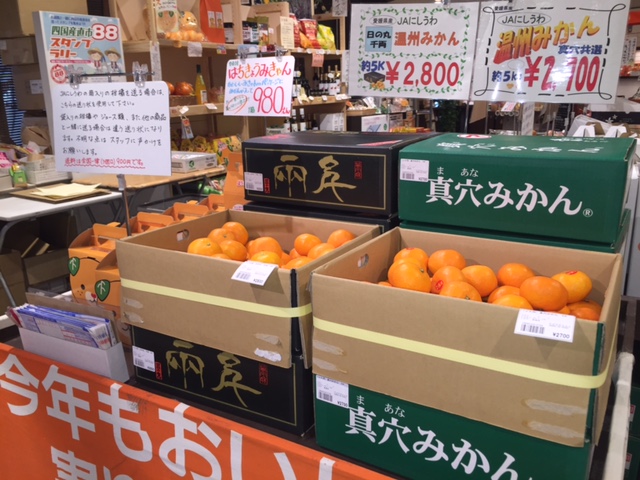 紅まどんな