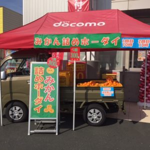 西宇和みかんが大活躍です。