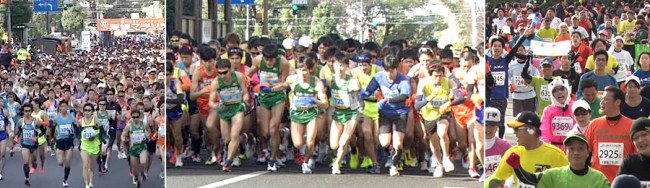愛媛マラソン