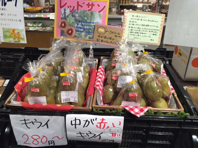 レッドサン