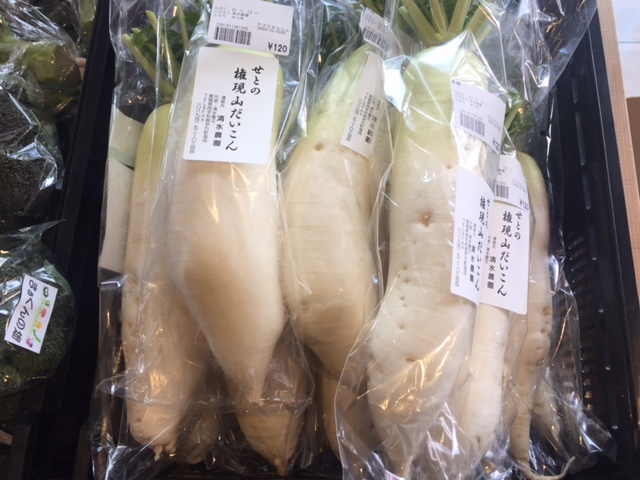 権現山だいこん