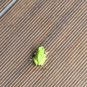 梅雨も一休み
