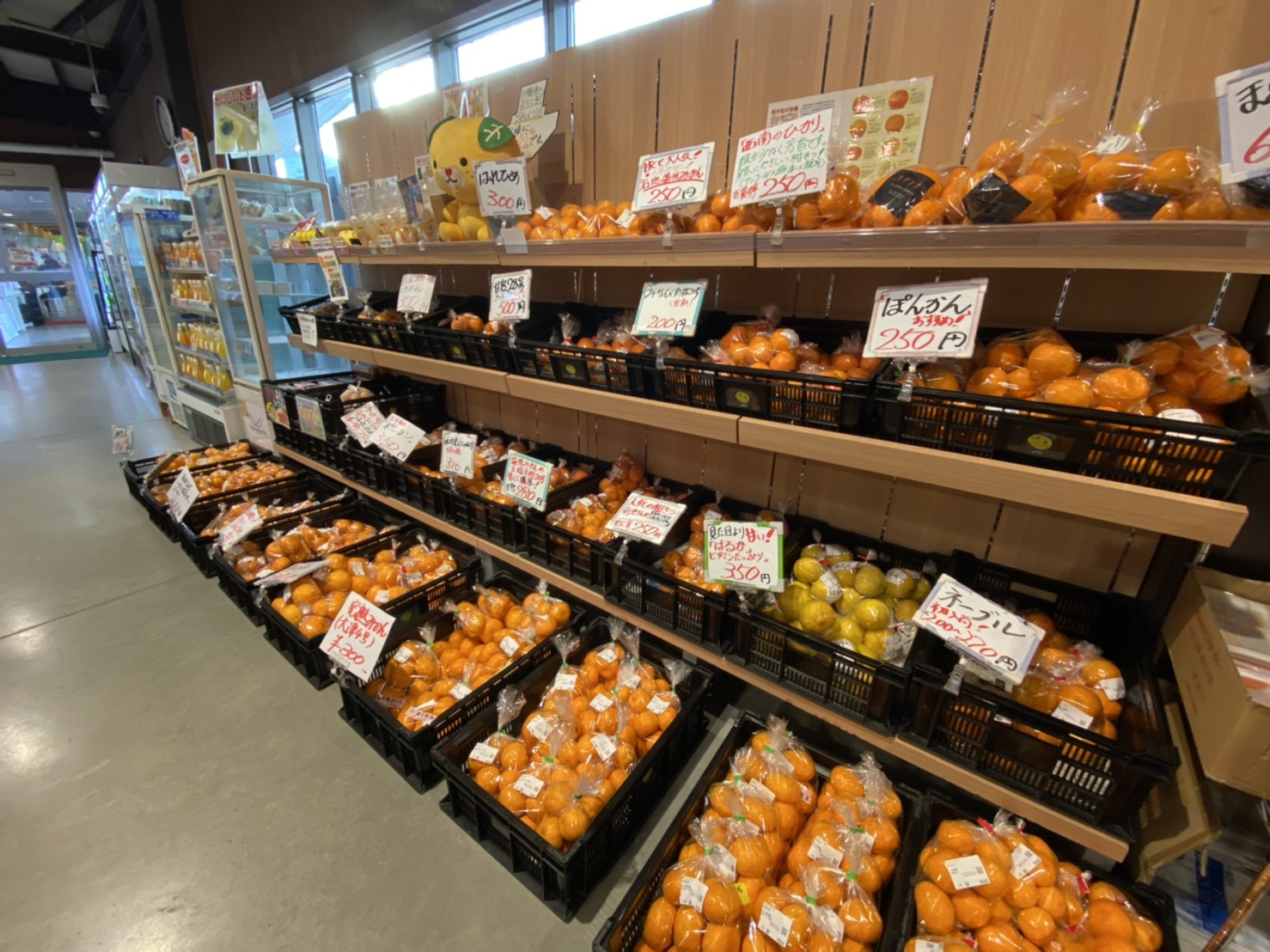 オレンジスター　Orangestar グッズ　バラ売り検討 02a229f61170664681e0da38c05de4