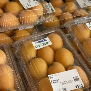八幡浜産ビワ入荷中