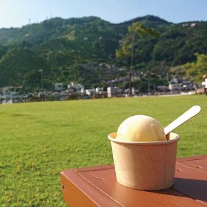みかんシャーベット