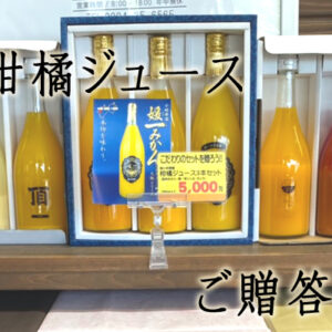 八幡浜産柑橘ジュースセット